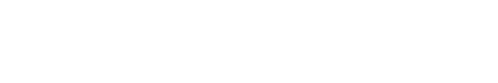 Nemo lieptai logo